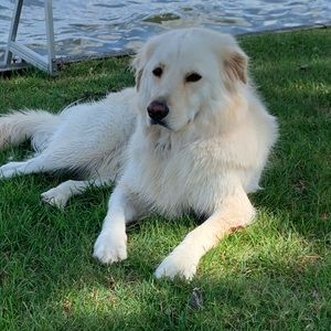 Meet your Posher, Gina